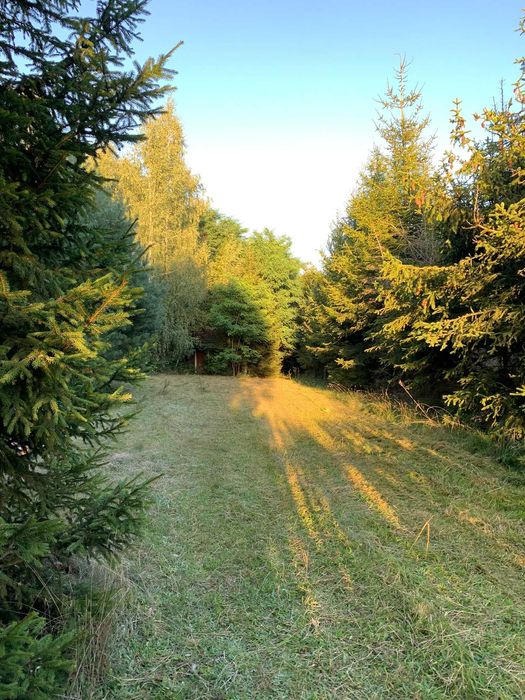 Działka budowlana 1208m nad jeziorem Piekiełko