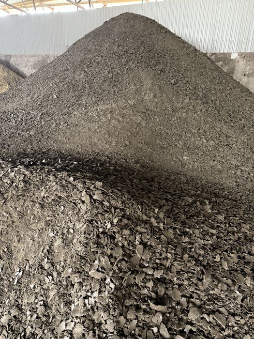 Макуха соняшникова