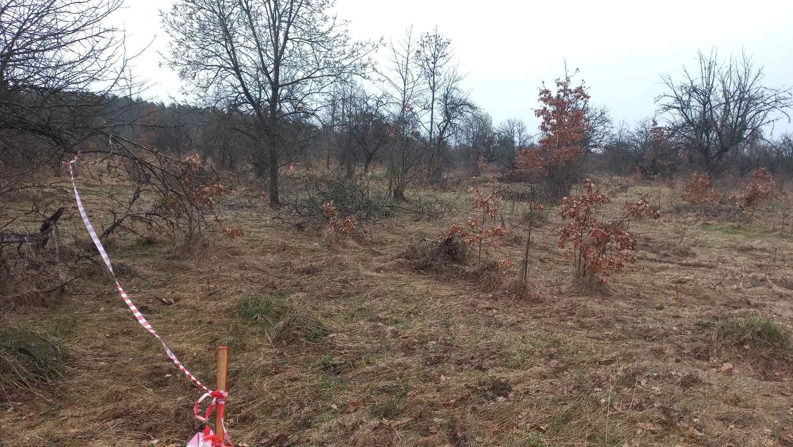 Земельна ділянка в НОВОМУ МАСИВІ с. Світин, Житомирська об.