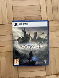 Hogwarts Legacy Ps5