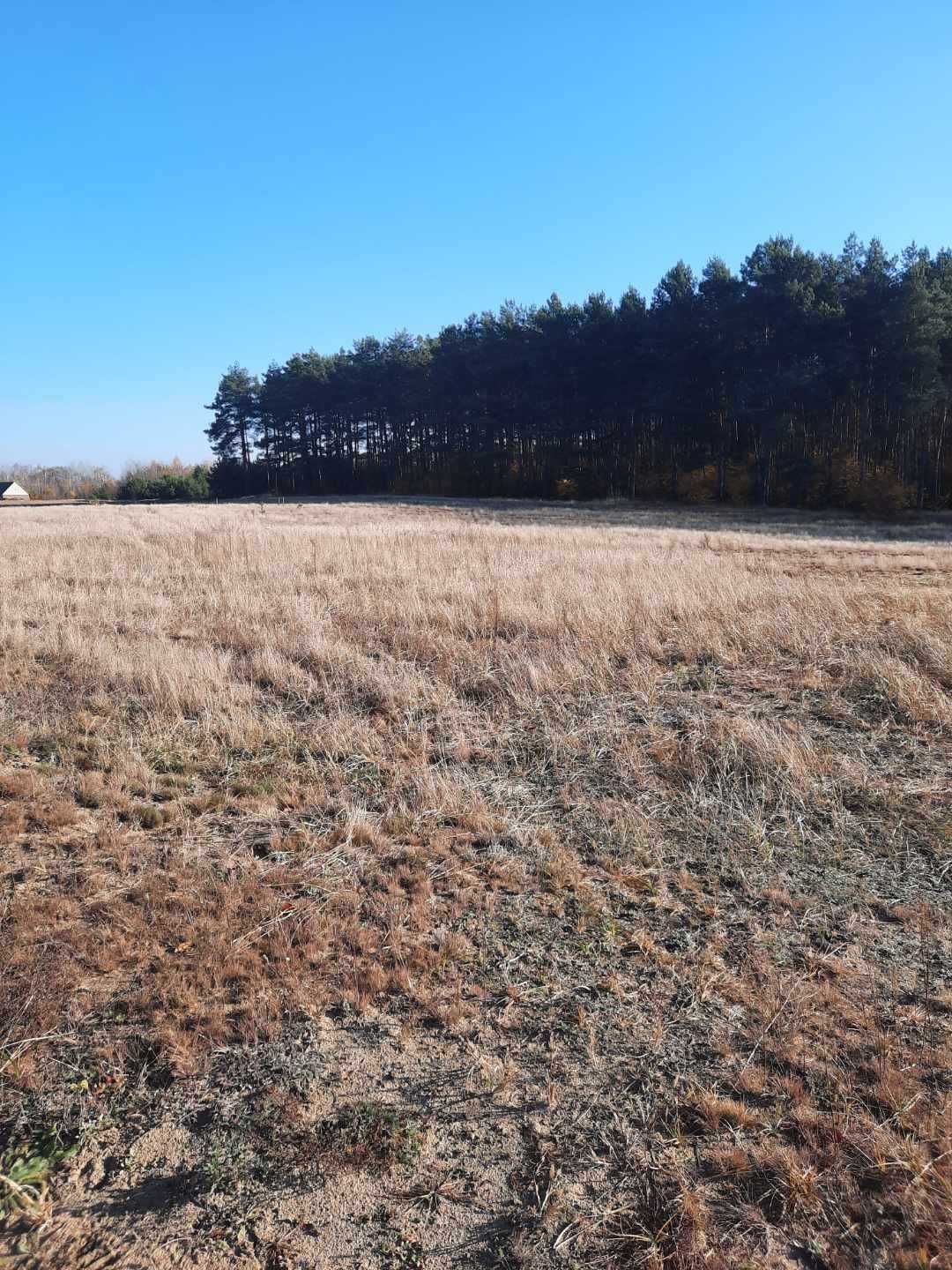 Sprzedam działkę rekreacyjną