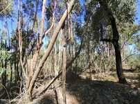 Terreno  para venda