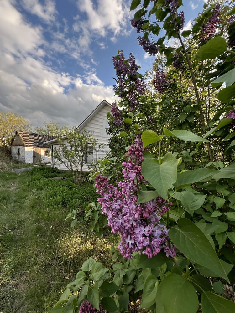 Продаж будинку Сурсько-Литовське.