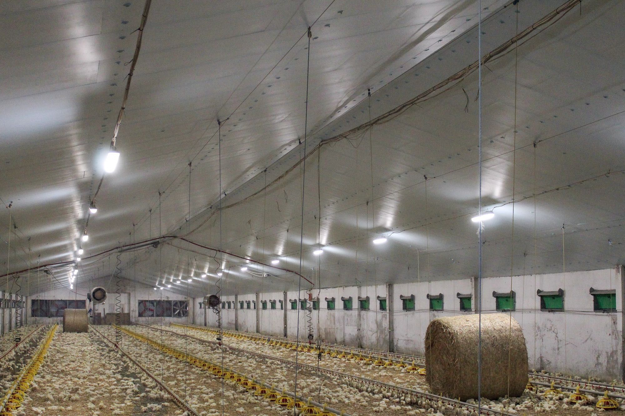 STYRODUR XPS AGRO Płyta Izolacja Thermo Termo Obornicka Nie Warstwowa