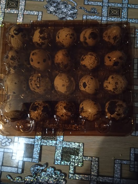 Продам перепелині яйця.