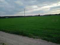 TRZEBIEGOSZCZ- atrakcyjne działki budowlane