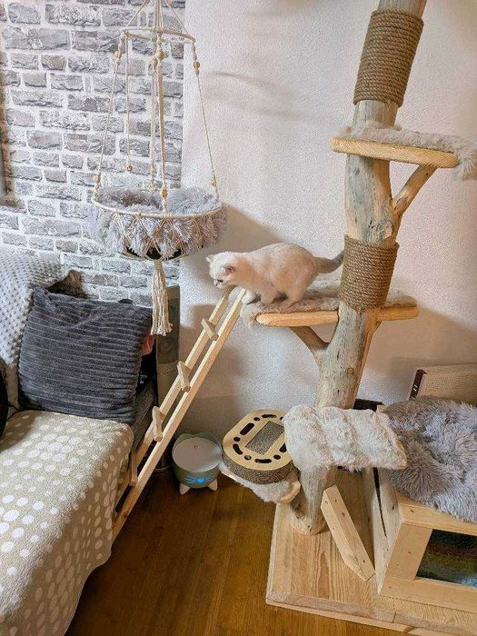Wysoki Drapak dla kota wykonany z naturalnego drewna domek + hamak