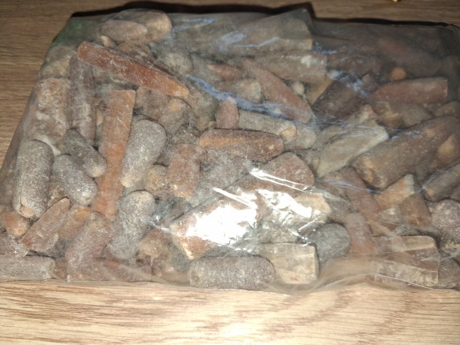 Minerały Polski Belemnity 1,5 kg