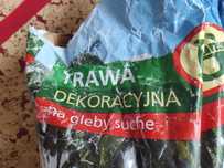 Trawa dekoracyjna na gleby suche