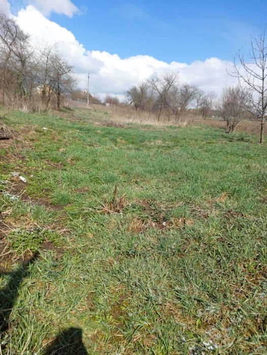 Продам будинок з ділянкою