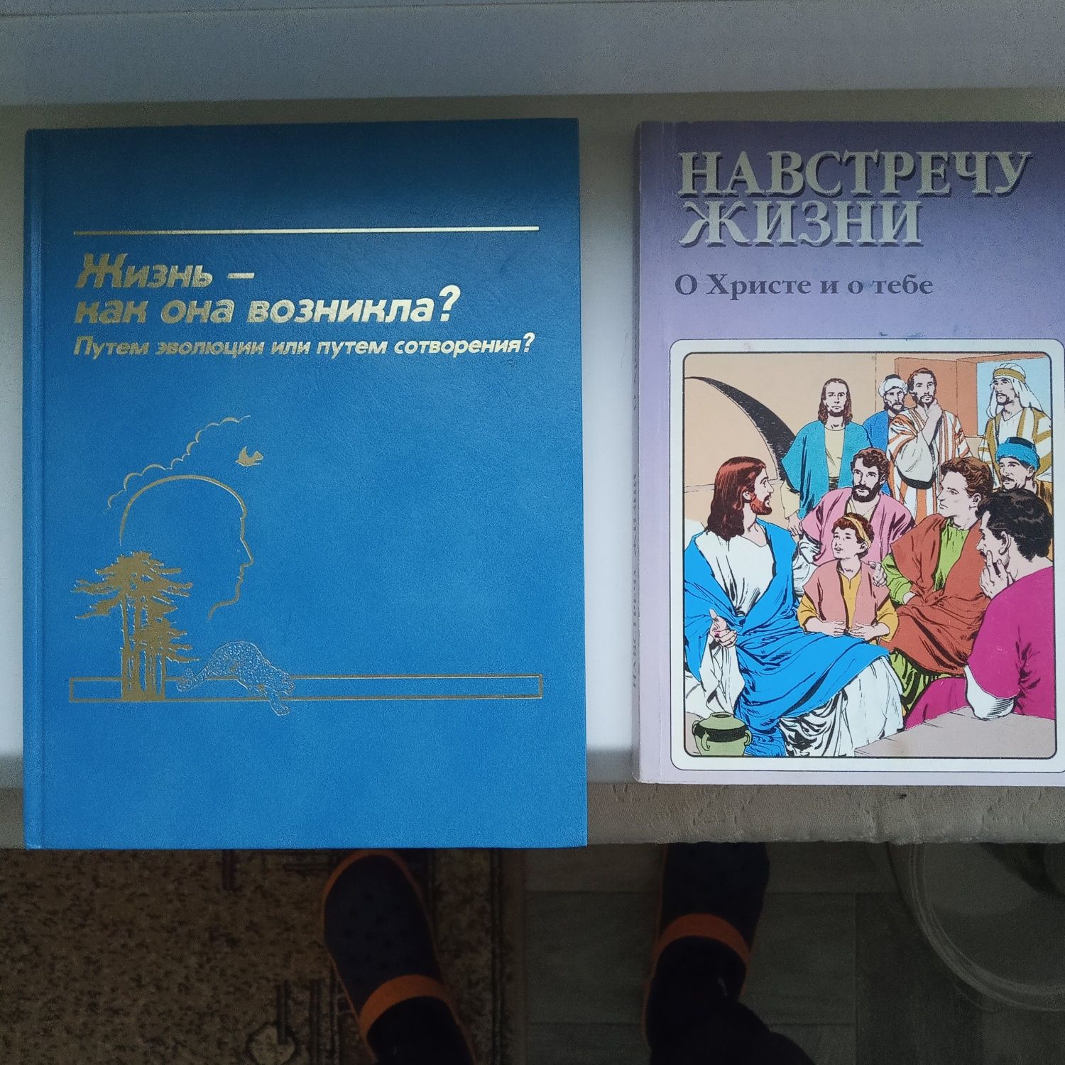 Книги новый завет и религия