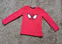 Bluza z polaru Spider-Man na 9/10 lat (ok140 cm)