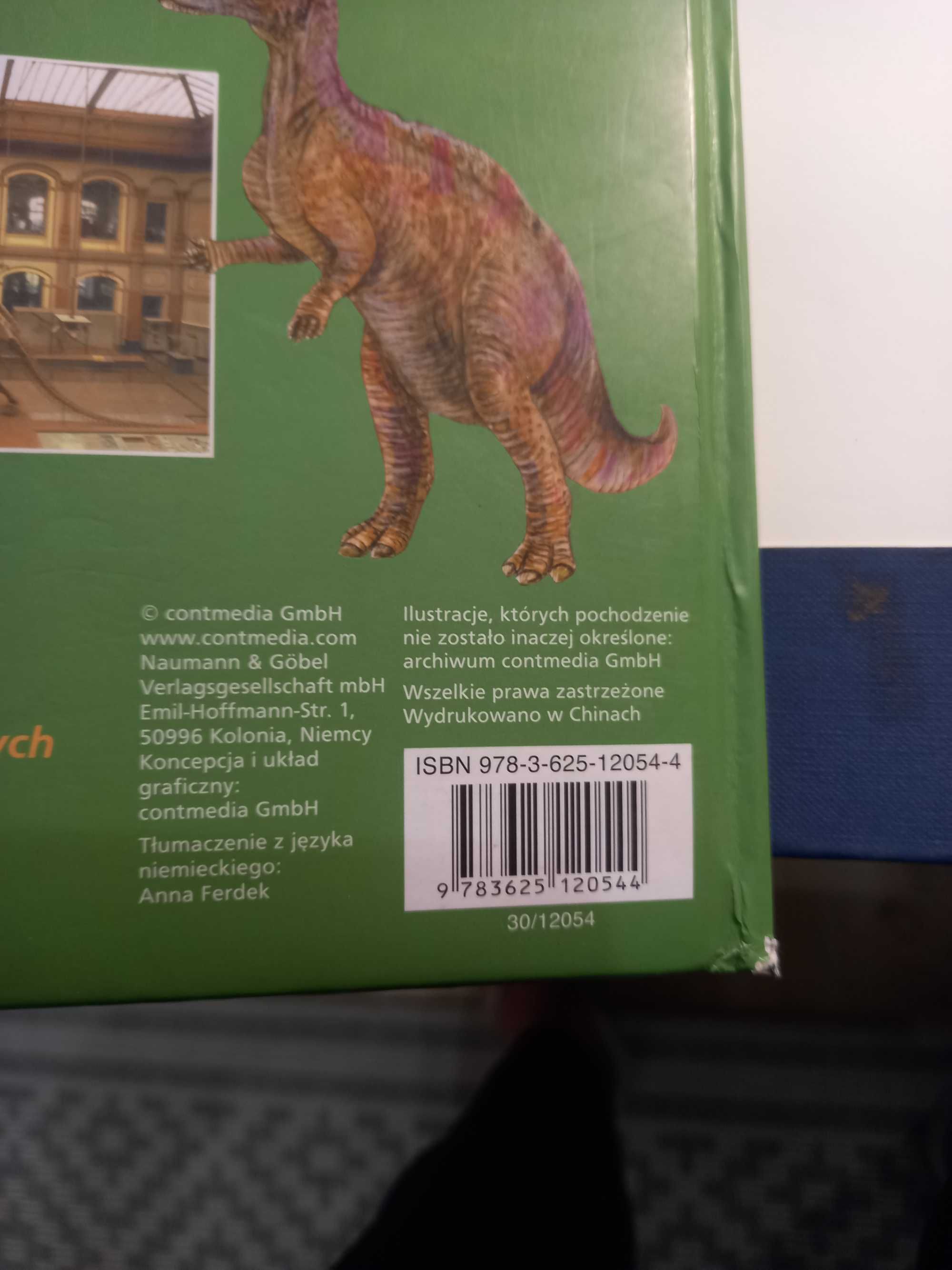 Dinozaury Odkrycia - Gatunki - Wyginięcie