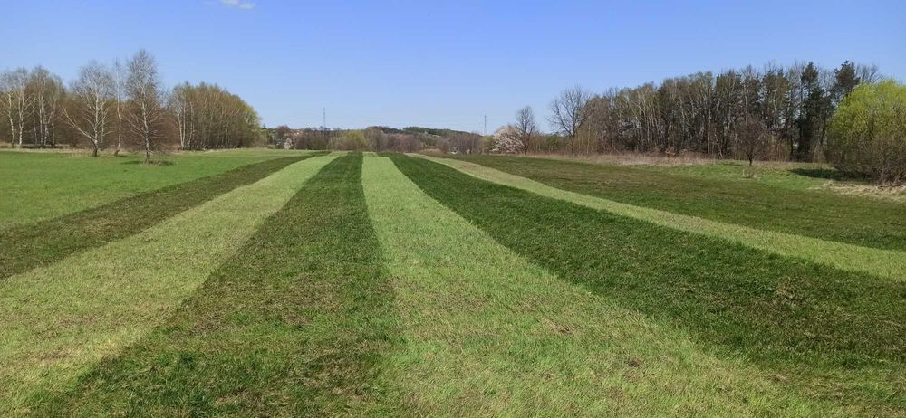 Szwagier mówi że to pójdzie;) Sianko dla gryzoni PREMIUM 1szt wysyłka