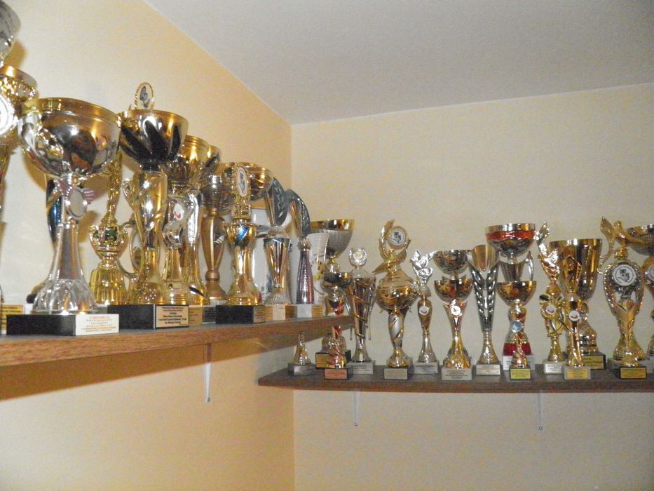 Gołębie, Polski Pocztowy Wystawowy, Standard