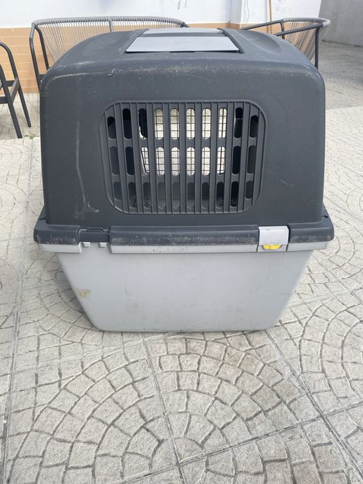 Transportadora cao Gulliver