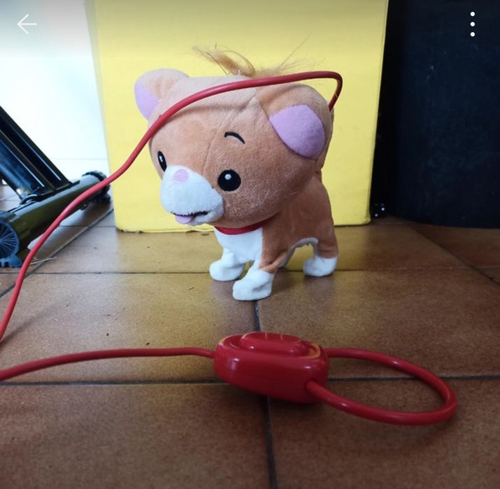 Robô verbaut, dog tou,tou gato de passeio