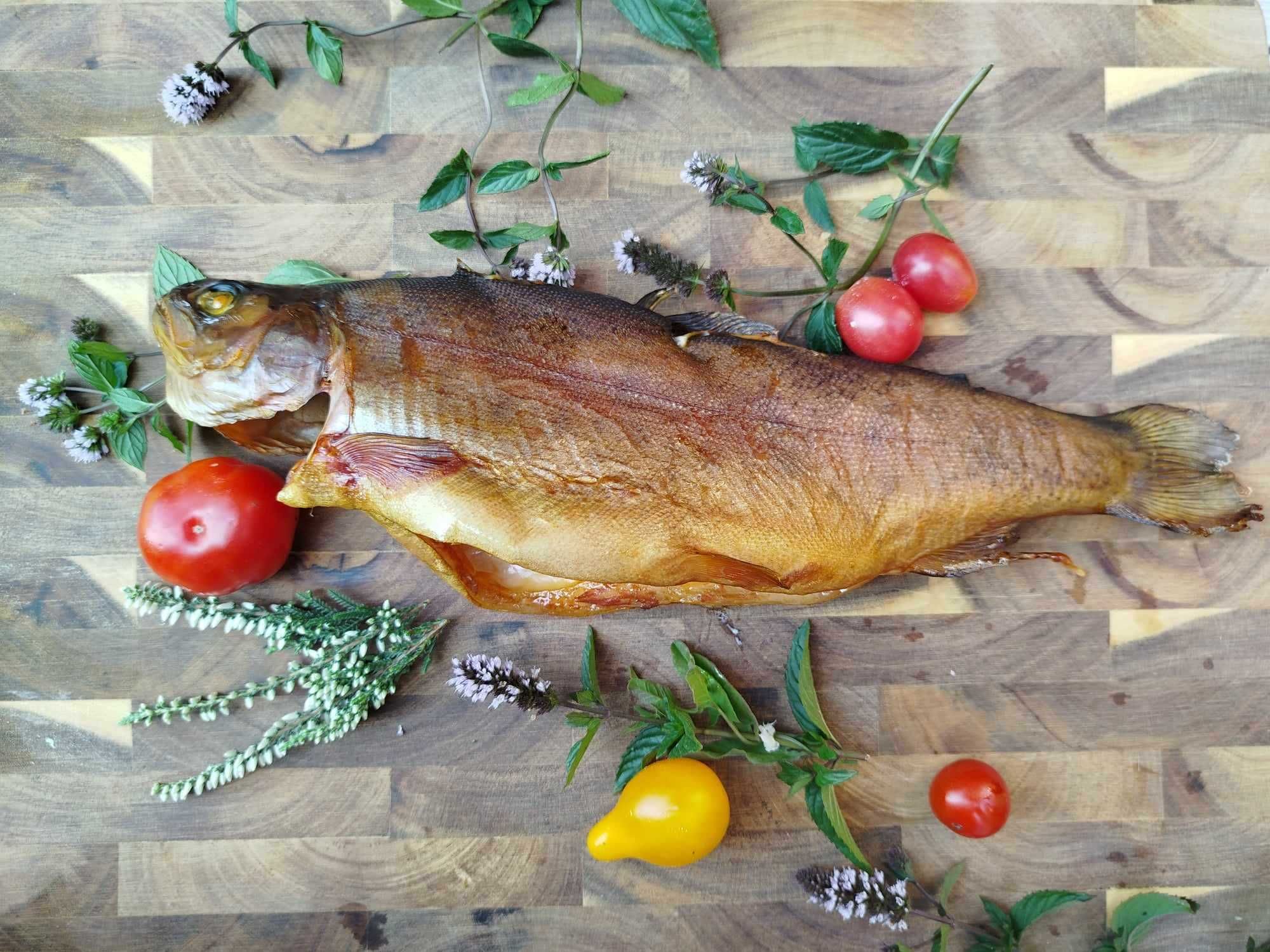 Karp Amur Wędzony