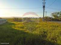 Terreno  para venda