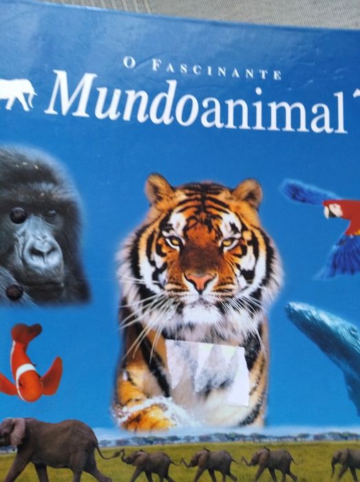 Mundo Animal novo