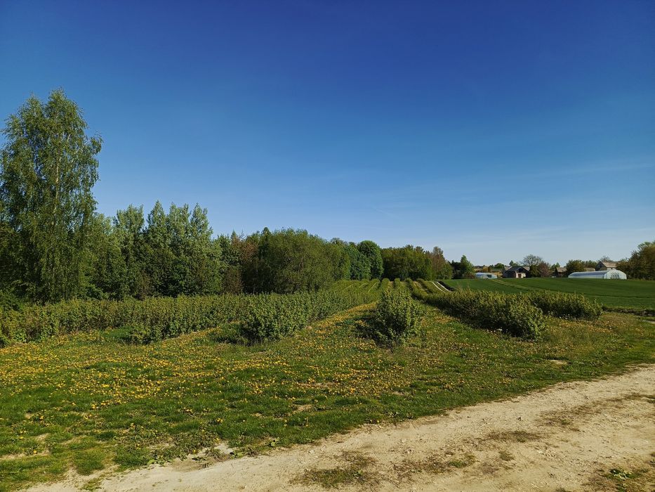 Sprzedam gospodarstwo rolne 1,96 ha z domem