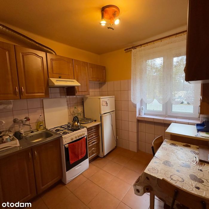 Parter, 2 pokojowe mieszkanie 37,7 m2, Blok z Cegły, ul. E.Orzeszkowej