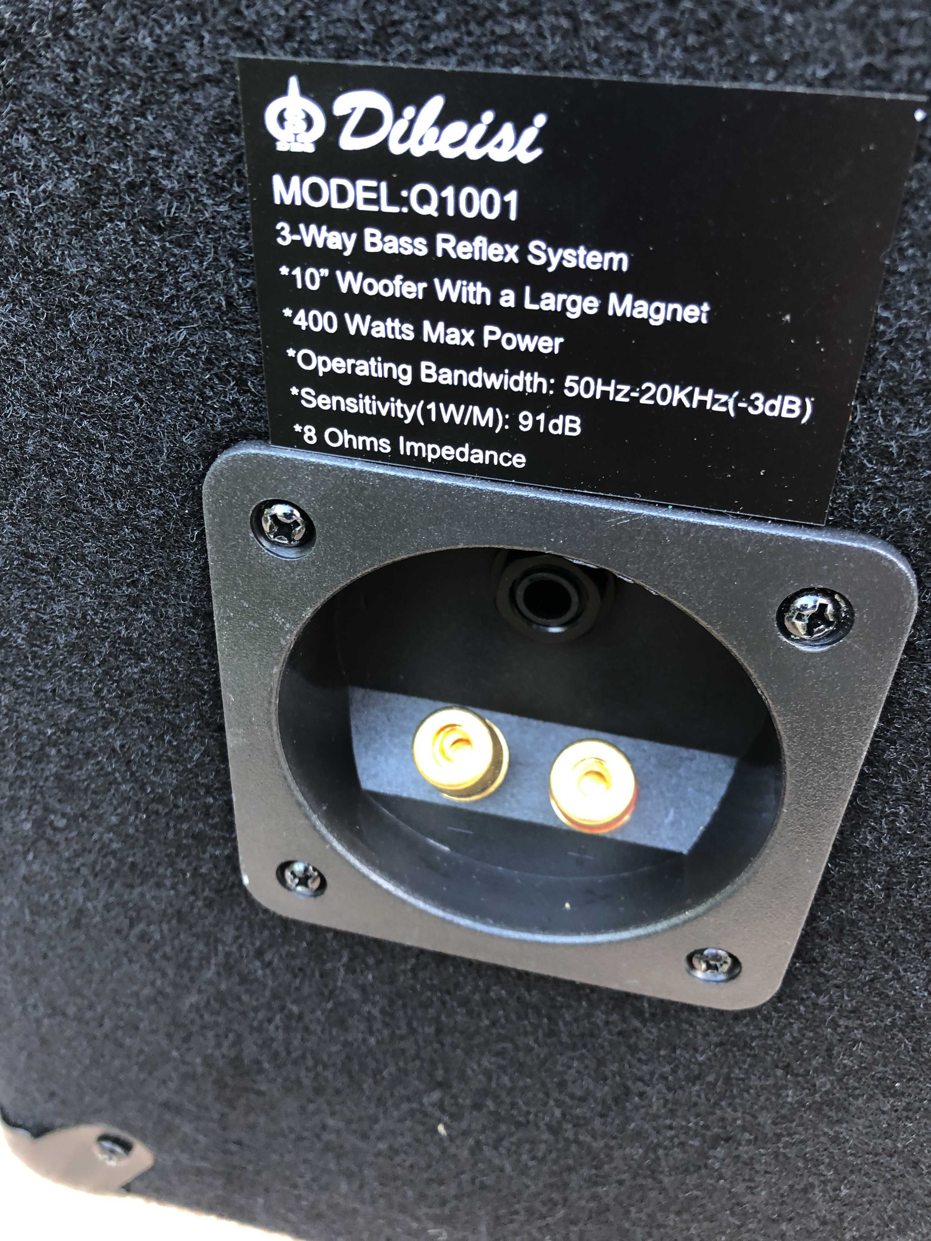 Kolumny estradowe Dibeisi Q1001 + wzmacniacz Auna AMP-Pro1-Sing