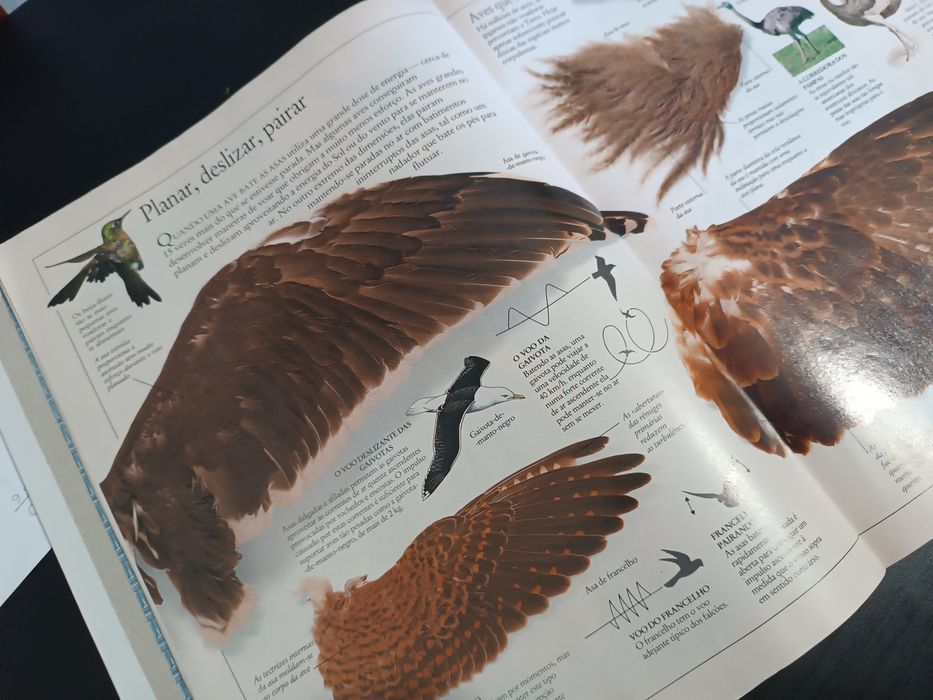 Visual Encyclopedia: Birds, Fish, and Mammals64551118366593122