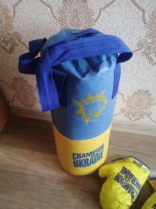 Боксерська груша з рукавицями