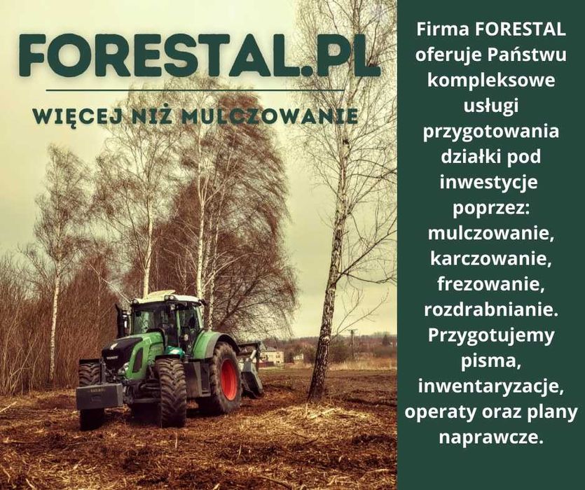 Wycinka / Czyszczenie działek / Mulczowanie / Usługi Budowlane
