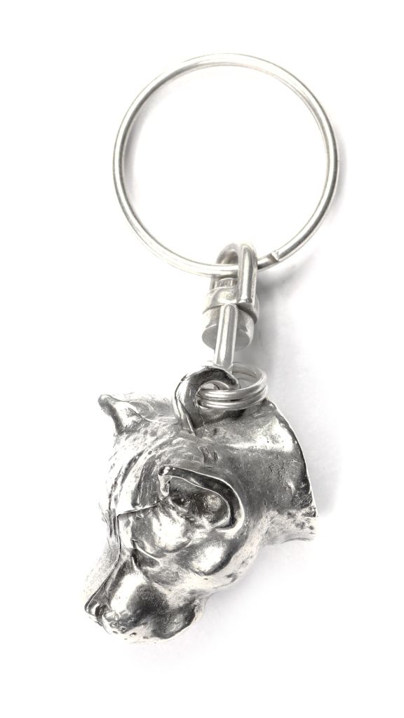 amerykański staffordshire terrier, amstaff, amstaf - posrebrzany brel