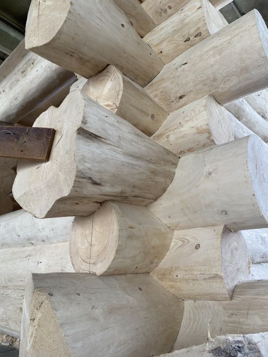 Будинки зі зрубу, дикий зруб