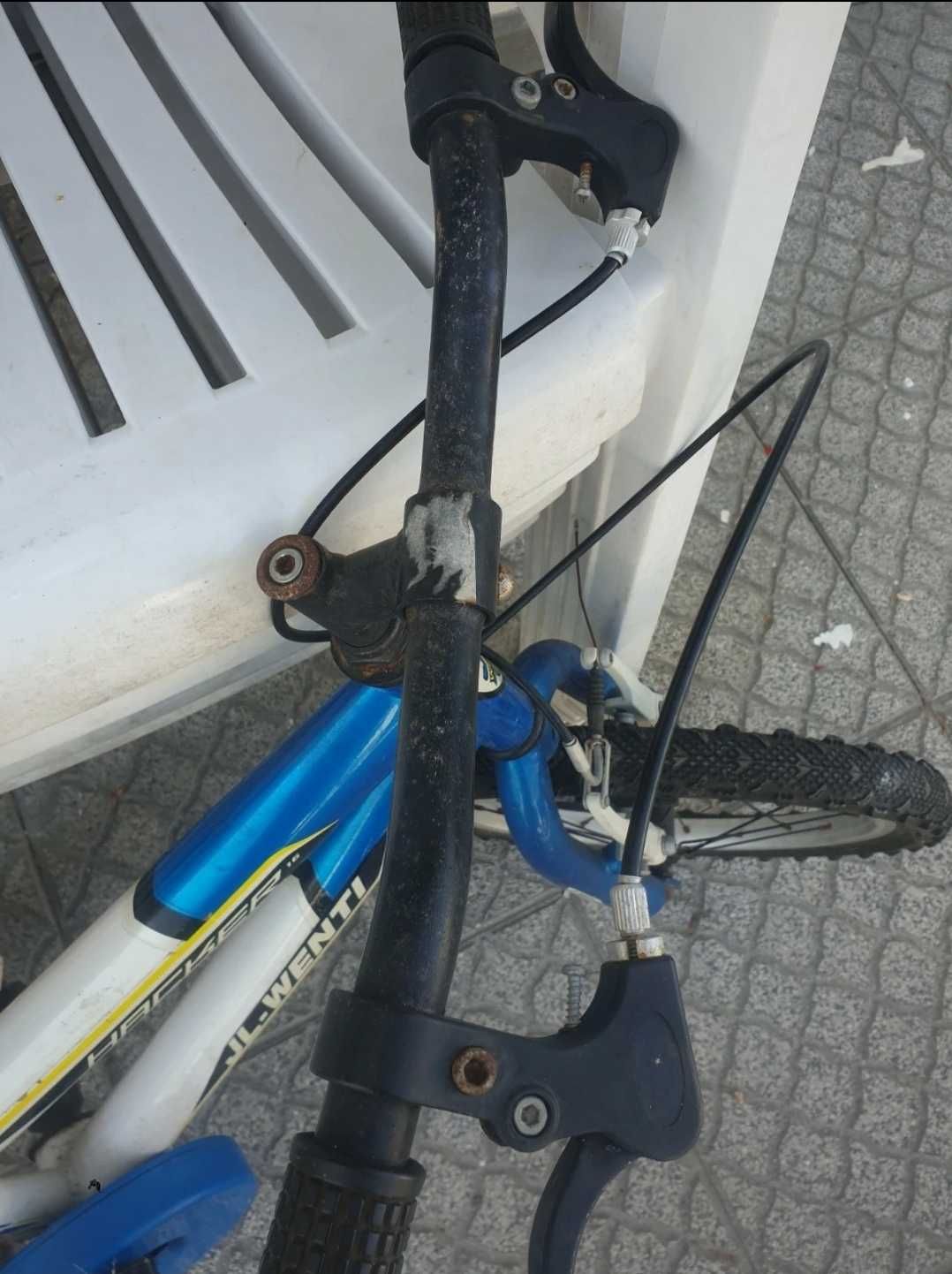 Bicicleta menino