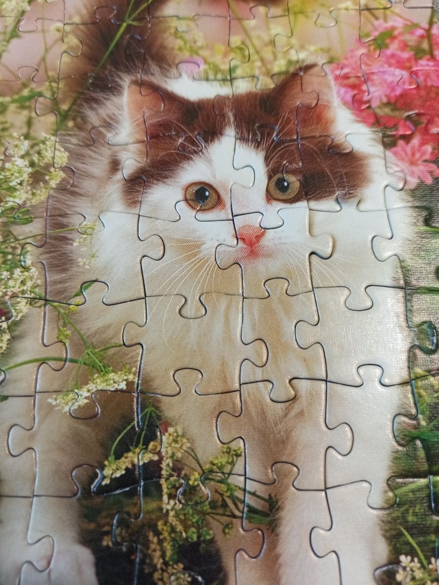Puzzle Trefl Kot
