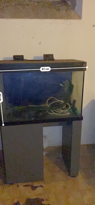 Aquário EHEIM Professional + Filtro externo EHEIM – Completo