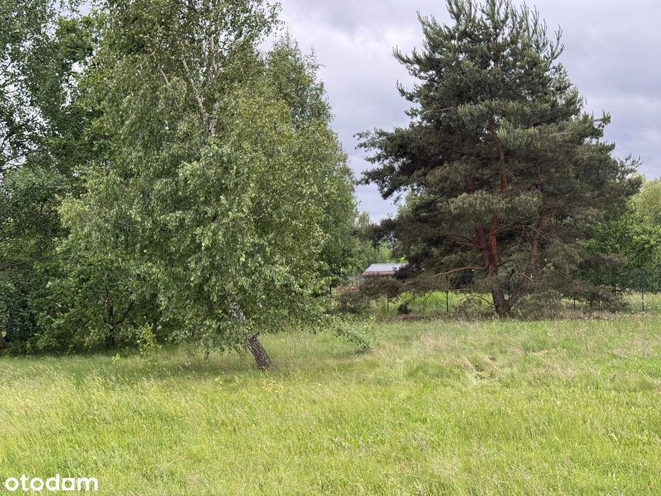 1326 m2, Wszystkie Media, B. dobry dojazd, email proszę ...