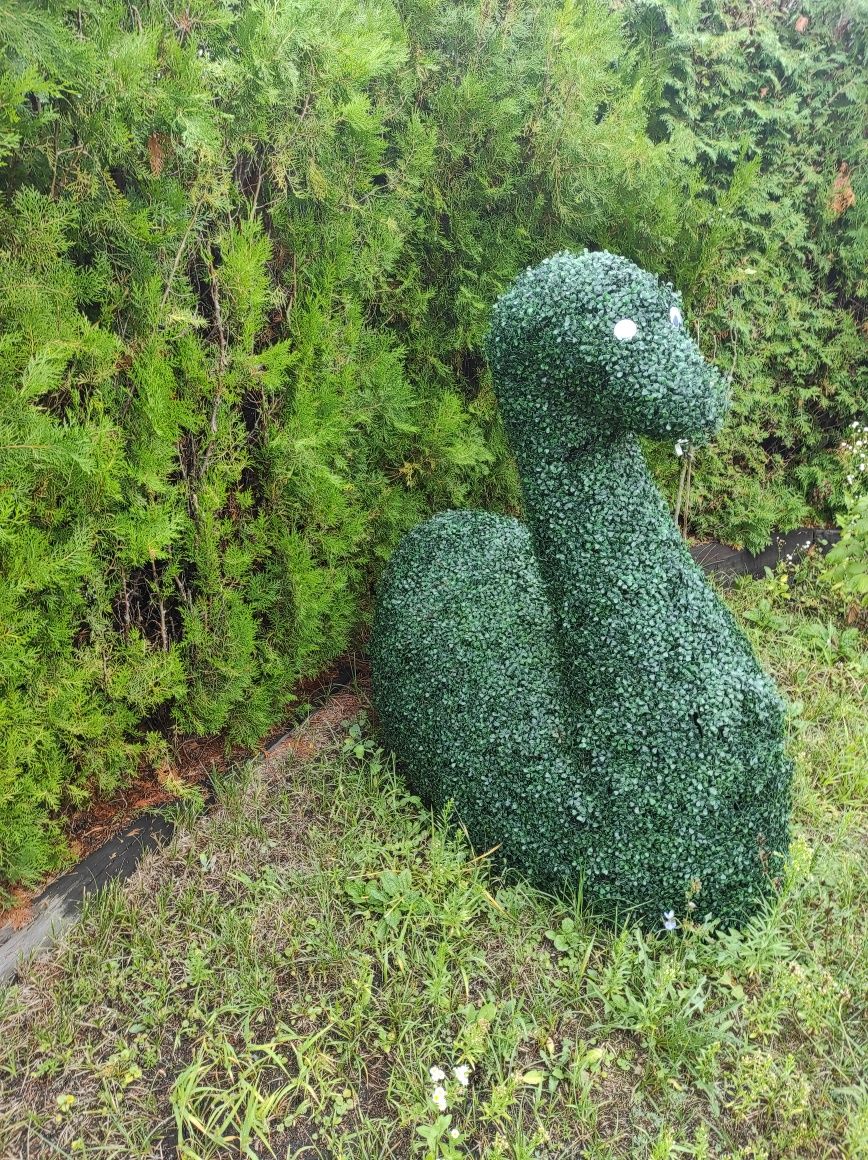 Kaczka Łabędź Topiar Topiary na stelażu z Bukszpanu