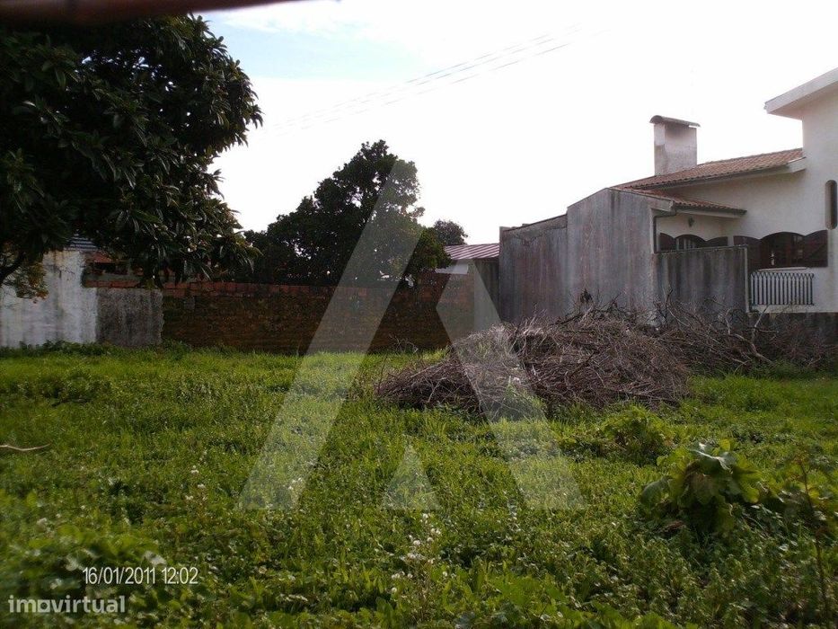 Terreno localizado em Troviscal e Mamarrosa