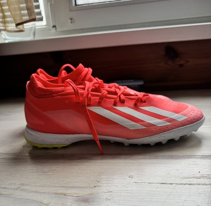 Буци сороконіжки