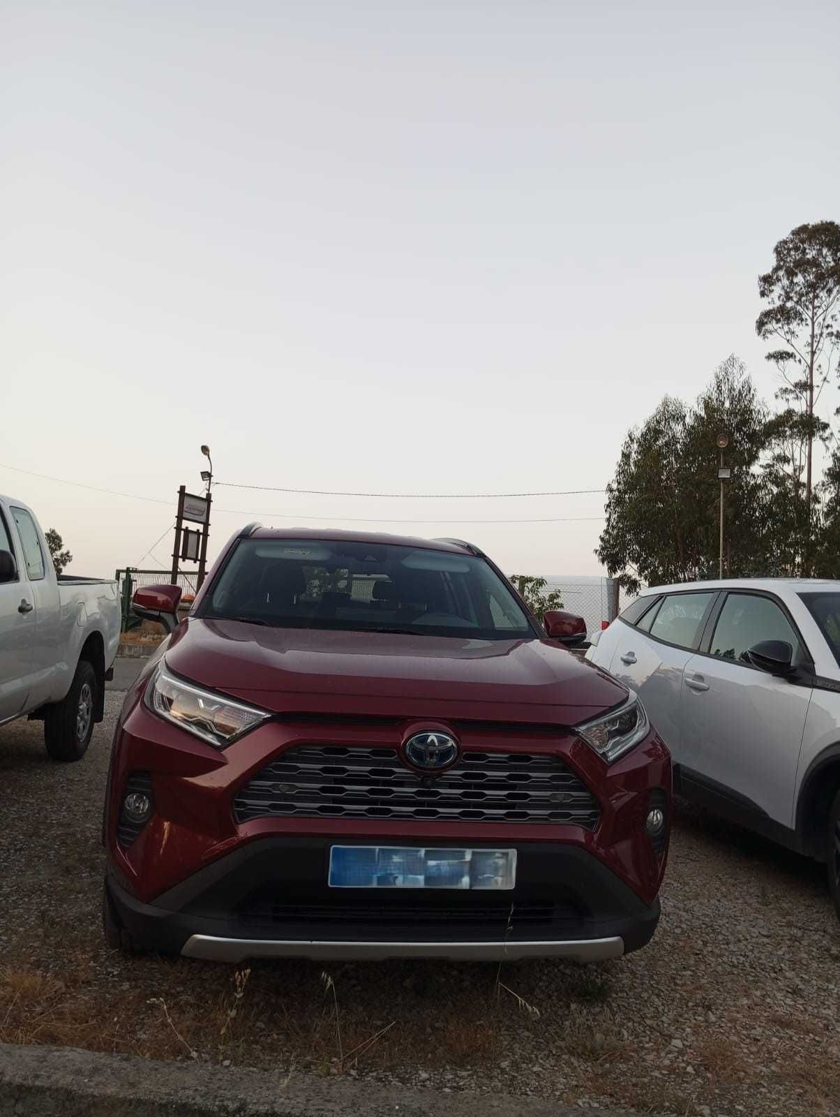 Toyota RAV4 2.5 híbrido 2020