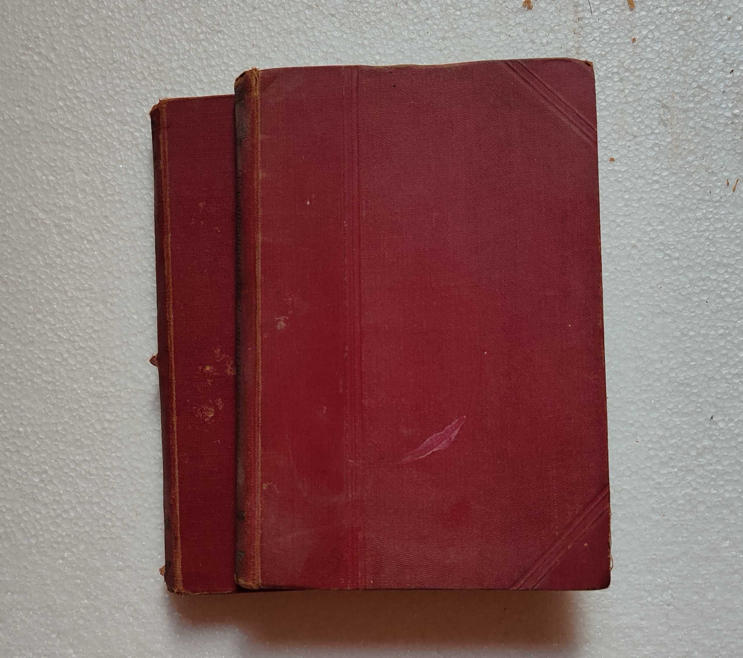 Miłość w życiu Zygmunta Krasińskiego. T. 1-2. F. Hoesick. Wyd 1899 r.