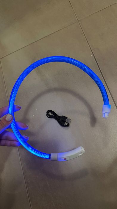 obroża świecąca dla psa