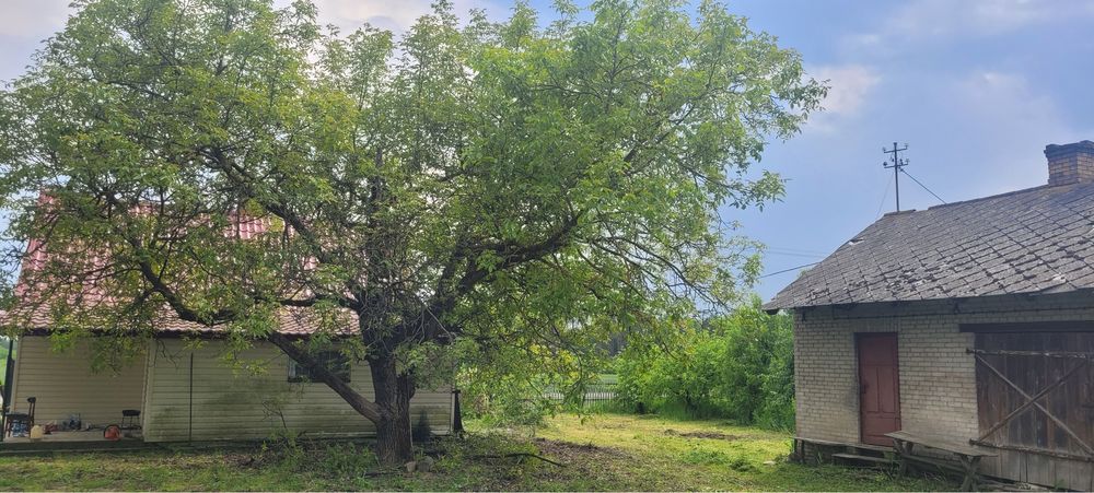 Sprzedam działke z budynkami gospodarczymi i polem