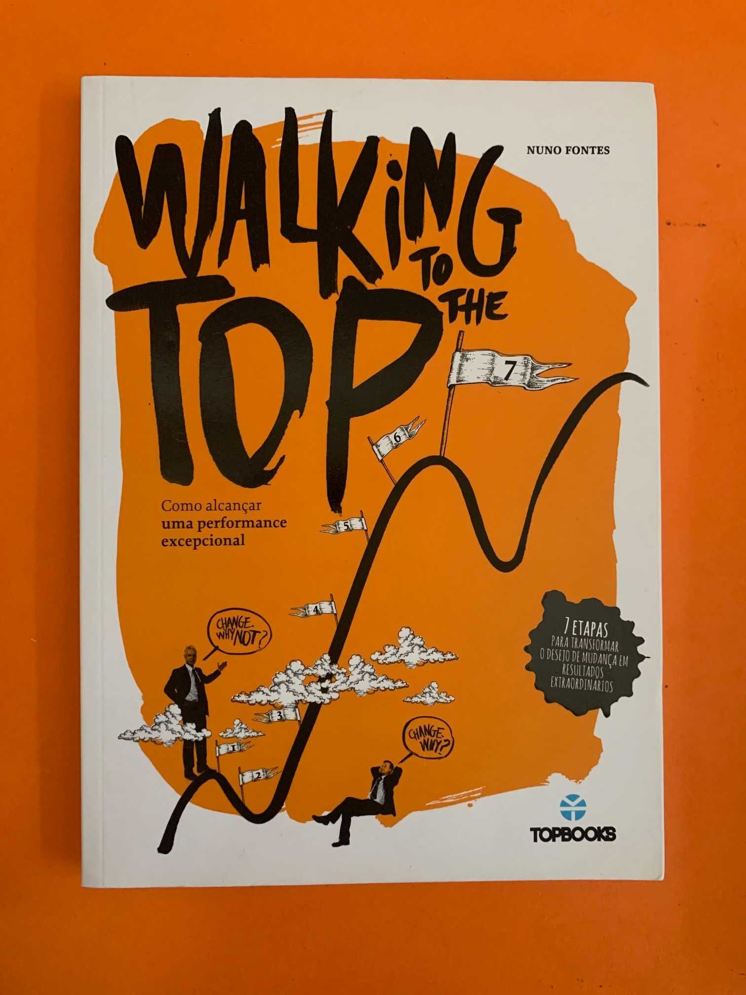 Walking to the Top - Nuno Fontes