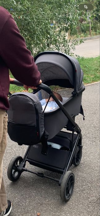 Коляска 2в1 Carello Alfa+