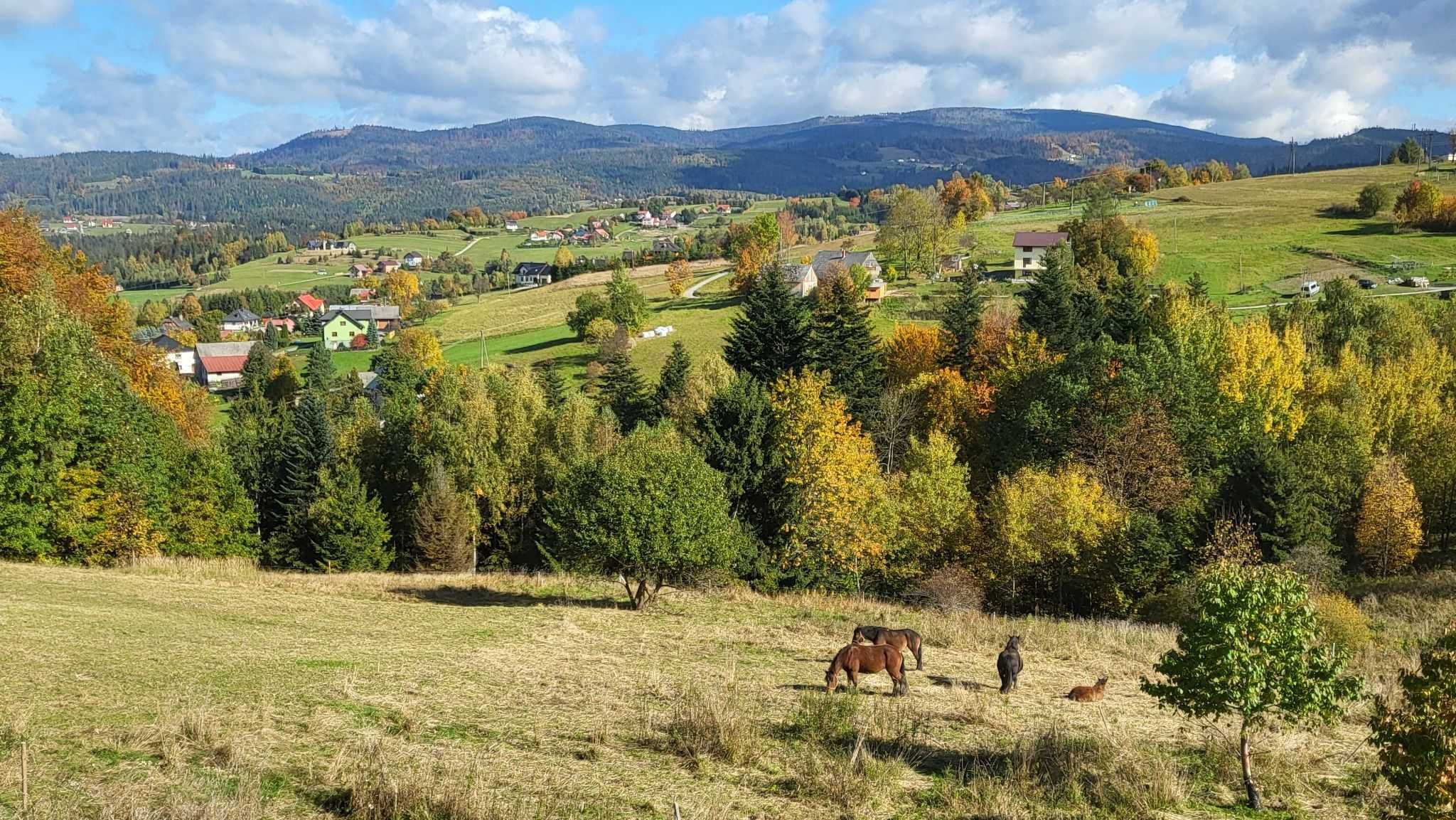 Dom do wynajęcia w górach Koniaków 5/8/10 osob. Istebna Wolne Terminy