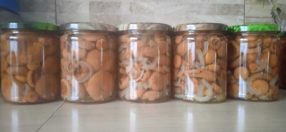 Rydze w zalewie octowej 540ml 1szt.24zl 7 sztuk 168zl-zbior 2025R