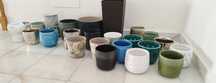 Lote dezenas de vasos
