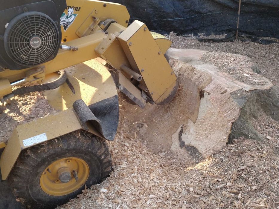 Usuwanie, Frezowanie Pni ,Karczowanie ,Frezarka Karp Korzeni Drzew