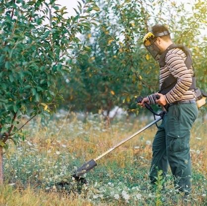 Pinturas/Roçar ervas/Lavagem de telhados 12,5€/20€h